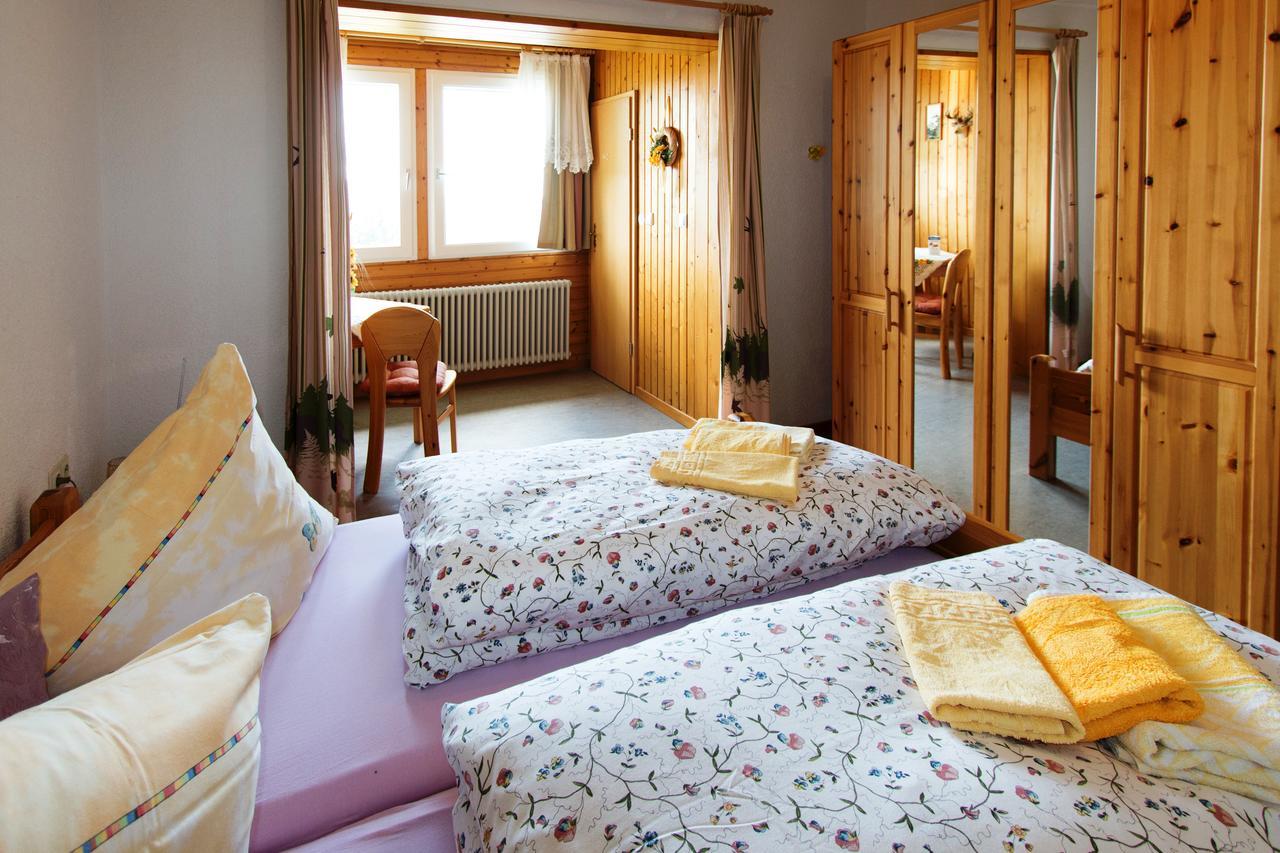 Berggasthof-Pension Todtnauer Hutte Feldberg  Zewnętrze zdjęcie